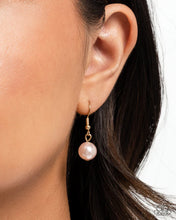 Load image into Gallery viewer, Pearly Patron & Pearly Passenger - Brown - 2 Piece Set