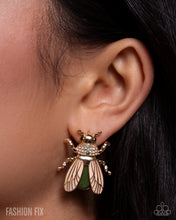 Load image into Gallery viewer, Sunset Sightings - Compete Trend Blend - March 2026
